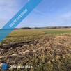 Syndyk sprzeda udziały wysokości 2/7 nieruchomości gruntowej niezabudowanej - 9