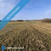 Syndyk sprzeda udziały wysokości 2/7 nieruchomości gruntowej niezabudowanej - 12