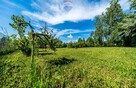 Dom z garażami i dużym ogrodem - 16