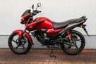 Honda CB 125 F 2023 POLIFT Raty Wysyłka TRANSPORT Największy Wybór Moto 125w PL - 5