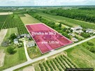 Dom otoczony sadami dla rodziny lub pod inwestycję - 2