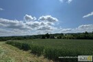 Działka budowlana Tuchów - 4