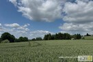 Działka budowlana Tuchów - 9