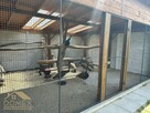 Lokal użytkowy Gorzyce - 6