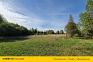 Działka budowlana i stajnia - 1,4ha przy lesie. - 15
