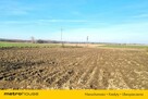 Sprzedam działkę  Adamowie 8 km. do Kutna - 2