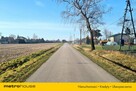 Sprzedam działkę  Adamowie 8 km. do Kutna - 3