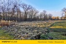 Spokój, natura, inwestycja  4 działki w Pokoju! - 2