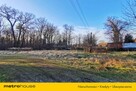 Spokój, natura, inwestycja  4 działki w Pokoju! - 3