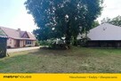 Sprzedam przeurocze siedlisko w lesie - 1
