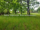 Działka Szczawno-Zdrój - 10