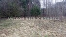 Działka siedliskowa Guźnia gm. Łowicz - 2
