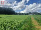 Działka rolna Kossowa gm. Brzeźnica - 2