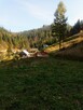 Beskid Sądecki 22 ary gm. Łącko - 3