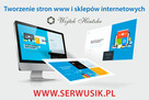 Wykonam strony www, sklepy internetowe - 1