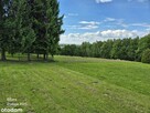 Unikatowa, piękna działka 18 km od Krakowa - 1