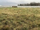 Stodoła hala 200m gospodarstwo działka 7000m Ciechanowiec Cz - 6