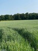Działka budowlana w pięknej okolicy - 3