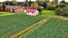 Dom z dużą działką w Rudniku Drugim - 1