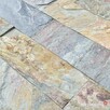Płytki łupek Jaipur Multi naturalny 10x30x0,8-1,3 cm - 5