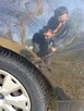 Ford Focus - 4