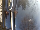 Ford Focus - 6