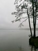 dzierżawa wynajem działka nad jeziorem Pławniowice - 7