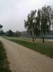dzierżawa wynajem działka nad jeziorem Pławniowice - 9