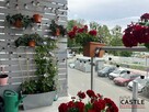 Mieszkanie Poznań gm. Poznań-Jeżyce Podolany, Jasielska - 2