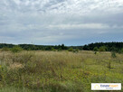 6 Działek budowlanych Dębska Wola/Gmina Morawica 0,8205 ha - 8