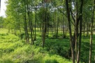 Działka Budowlana 2324 m2 Bieganów gm. Jaktorów - 8