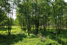 Działka Budowlana 2324 m2 Bieganów gm. Jaktorów - 9