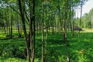 Działka Budowlana 2324 m2 Bieganów gm. Jaktorów - 11