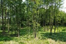 Działka Budowlana 2324 m2 Bieganów gm. Jaktorów - 13