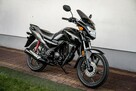Honda CB 125 F 2021 POLIFT Raty Wysyłka TRANSPORT Największy Wybór Moto 125w PL - 1