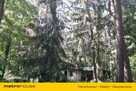 Działka Sokolniki-Las, ul. Kasprowicza - 8