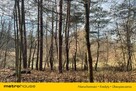 Urokliwa działka w Ziewanicach z widokiem na las. - 3