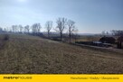 Działka zagrodowa nad jeziorem Narie w Wilnowie. - 10