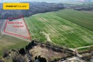 Działka rolna 1,55 ha, 4km od Ustki - 1