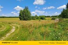 wolnostojący Franopol - 2