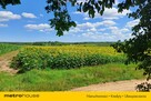 wolnostojący Franopol - 4