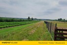wolnostojący Franopol - 7