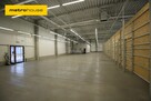 Od zaraz lokal handlowo-usługowy 540mkw - 1