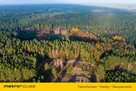 Działka w Borach Tucholskich, las, jezioro WZ - 3