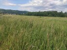PIĘKNA DZIAŁKA SANOK - OLCHOWCE - 2