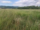 PIĘKNA DZIAŁKA SANOK - OLCHOWCE - 3