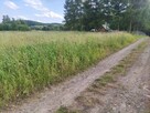 PIĘKNA DZIAŁKA SANOK - OLCHOWCE - 4
