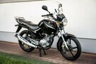 Yamaha YBR 125 R 2011 CBF CB Raty Transport Największy Wybór Moto w PL - 1