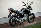 Yamaha YBR 125 R 2011 CBF CB Raty Transport Największy Wybór Moto w PL - 3