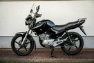 Yamaha YBR 125 R 2011 CBF CB Raty Transport Największy Wybór Moto w PL - 5